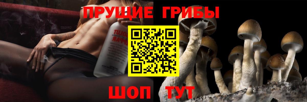 Строитель  Псилоцибиновые грибы прущие грибы  Вход с VPN  Псилоцибиновые грибы ЛСД 